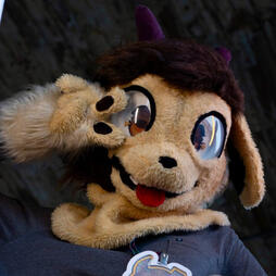 @behtoufur